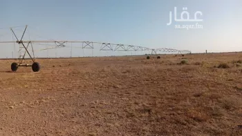 مزرعة للبيع في شارع صالح النوفلي, حي العوالي, مدينة العوالي, منطقة حائل صورة 4