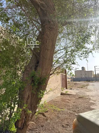 بيت للبيع في شارع السيباني 627 ، جو ، ضرما صورة 3
