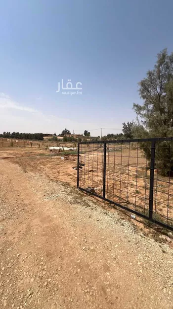 أرض للإيجار في مدينة بريده, منطقة القصيم صورة 2