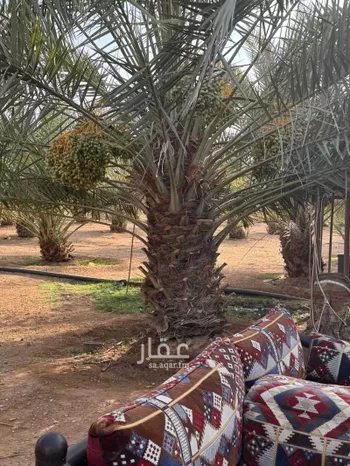 أرض للإيجار في شارع 11234, حي ال حفيان, مدينة ال حفيان, منطقة الرياض