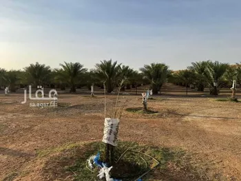 أرض للإيجار في شارع 11234, حي ال حفيان, مدينة ال حفيان, منطقة الرياض صورة 4