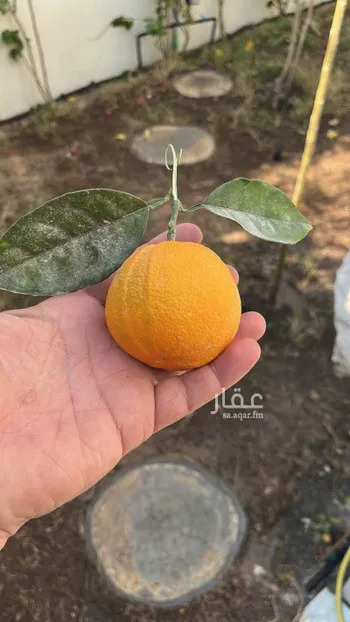 فيلا للبيع في شارع عبدالحق بن سعيد, حي الصدفة, مدينة الدمام, المنطقة الشرقية صورة 4