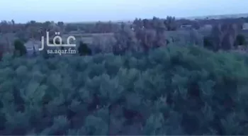مزرعة للبيع في حي السويدة, مدينة السويدة, منطقة القصيم صورة 2