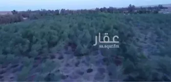 مزرعة للبيع في حي السويدة, مدينة السويدة, منطقة القصيم صورة 4