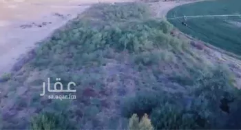 مزرعة للبيع في حي السويدة, مدينة السويدة, منطقة القصيم صورة 3