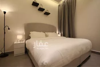 استديو مفروش للحجز في شارع الغاط ، حي المصيف ، الرياض ، منطقة الرياض صورة 3
