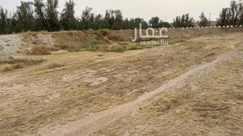 أرض للبيع في شارع الملك فيصل, حي المريديسية الجنوبية, مدينة بريده, منطقة القصيم صورة 3