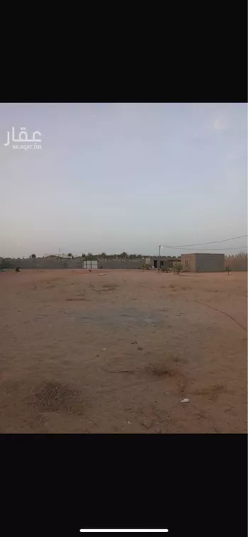 أرض للإيجار في شارع الزاويه 315 ، املج ، املج صورة 2