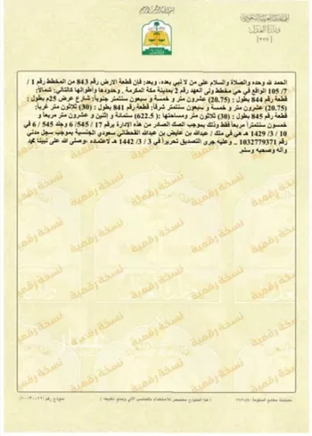 أرض للبيع في شارع محمد عواض الثبيتي, حي الشامية الجديد, مدينة مكه المكرمه, منطقة مكة المكرمة