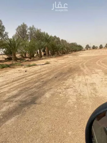مزرعة للبيع في شارع بدون, حي المجد, مدينة الخرج, منطقة الرياض صورة 3