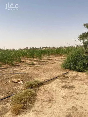 مزرعة للبيع في شارع بدون, حي المجد, مدينة الخرج, منطقة الرياض صورة 2