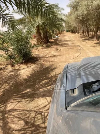 مزرعة للبيع في شارع بدون, حي المجد, مدينة الخرج, منطقة الرياض