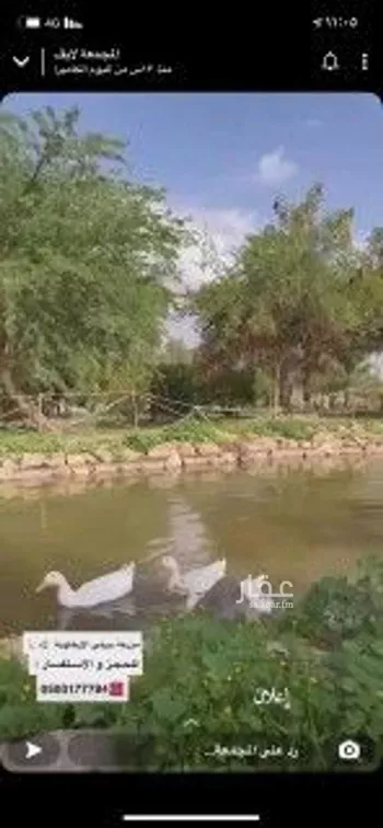 مزرعة للبيع في شارع يزيد بن الاسود ، الارطاوية ، المجمعة صورة 4