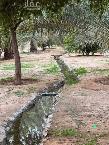 مزرعة للبيع في شارع يزيد بن الاسود ، الارطاوية ، المجمعة