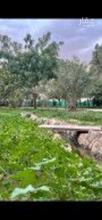 مزرعة للبيع في شارع يزيد بن الاسود ، الارطاوية ، المجمعة صورة 3