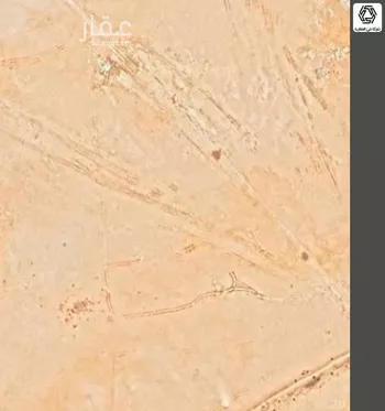 أرض للإيجار في شارع طريق ملك فهد, حي الخير, مدينة الرياض, منطقة الرياض