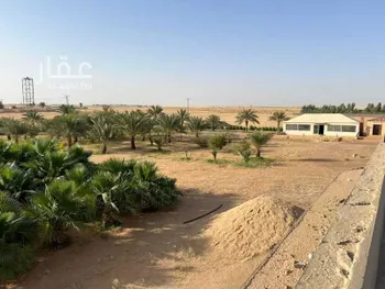 مزرعة للبيع في شارع الصحافه, حي هجرة الزبيره, مدينة هجرة الزبيره, منطقة الرياض صورة 3