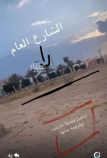 أرض للبيع في شارع حبيب ابن حبيب ابن مروان, حي الروضة, مدينة طريب, منطقة عسير