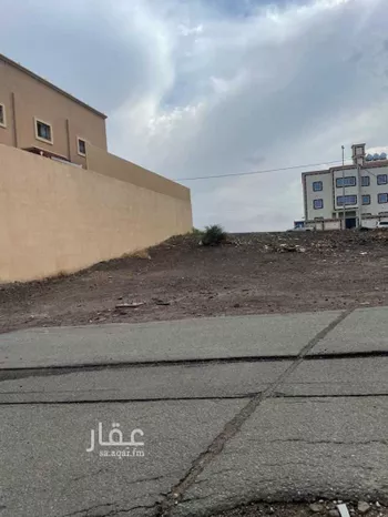 أرض للبيع في شارع 11006738, حي الروضة, مدينة سراة عبيدة, منطقة عسير صورة 2