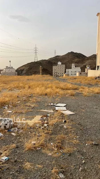 أرض للبيع في شارع عمرو بن عبدالله المرادي , حي التنعيم, مدينة مكه المكرمه, منطقة مكة المكرمة صورة 4