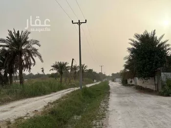 أرض للبيع في شارع العقير, مدينة الاحساء, المنطقة الشرقية صورة 4