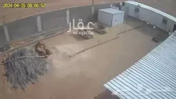 استراحة للبيع في المشاعلة بالجله ، القويعية