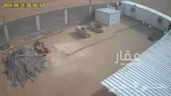 استراحة للبيع في طريق الملك فهد ، مدينة الملك خالد العسكرية ، حفر الباطن