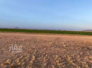 مزرعة للبيع في شارع بدون, حي جانين, مدينة جانين, منطقة حائل صورة 2