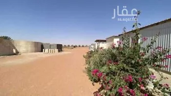أرض للبيع في شارع اللغفيه 2086, حي مزارع البطينه والفرعه, مدينة مزارع البطينه والفرعه, منطقة الرياض صورة 5