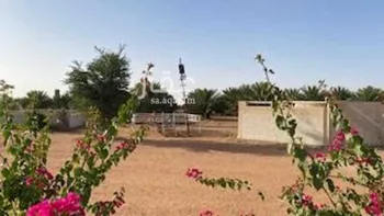 أرض للبيع في شارع اللغفيه 2086, حي مزارع البطينه والفرعه, مدينة مزارع البطينه والفرعه, منطقة الرياض صورة 4