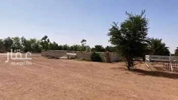 أرض للبيع في شارع اللغفيه 2086, حي مزارع البطينه والفرعه, مدينة مزارع البطينه والفرعه, منطقة الرياض صورة 2