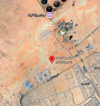 أرض للبيع في شارع فرس الوادي, حي الجامعة, مدينة تبوك, منطقة تبوك صورة 4