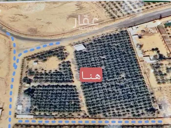 مزرعة للبيع في شارع القرعاء 145 ، أوثال ، بريدة صورة 3