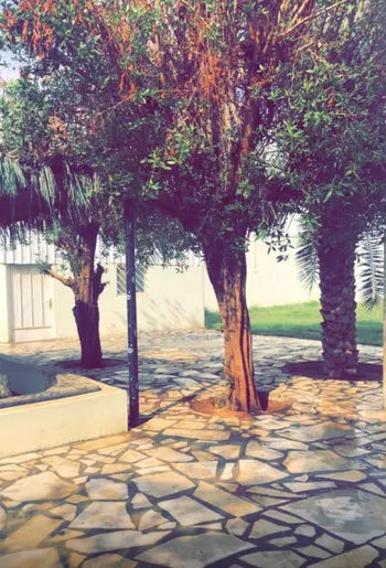 استراحة للإيجار في شارع 1922306, حي سمنان, مدينة الزلفى, منطقة الرياض صورة 5