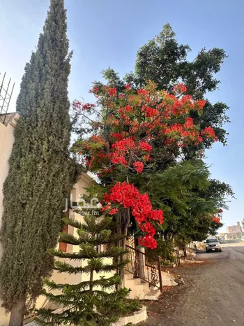 فيلا للبيع في شارع 7522300, حي الهدا, مدينة امارة منطقة مكة المكرمة - الطائف, منطقة مكة المكرمة صورة 4