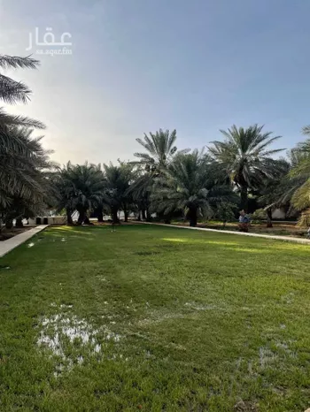 استراحة للإيجار في شارع وادي غاله ، حي الامير سلطان ، الجبيلة ، الدرعية صورة 3