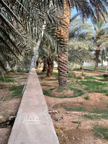 استراحة للإيجار في شارع وادي غاله ، حي الامير سلطان ، الجبيلة ، الدرعية صورة 4