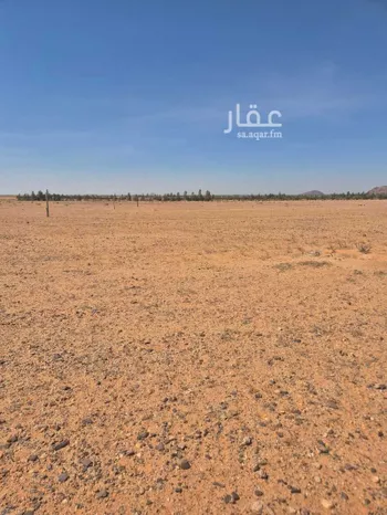 مزرعة للبيع في بئر الرفدي ، الشملي صورة 3