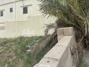 أرض للبيع في شارع خالد بن علي, حي ذرة, مدينة ابها, منطقة عسير