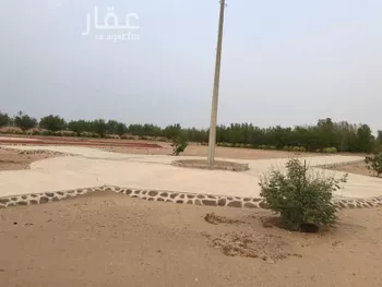 مزرعة للبيع في شارع زينب بنت جحش ، حي السلام ، خليص ، خليص
