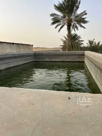 مزرعة للبيع في حي مزارع وادى العماريه, مدينة مزارع وادى العماريه, منطقة الرياض صورة 3