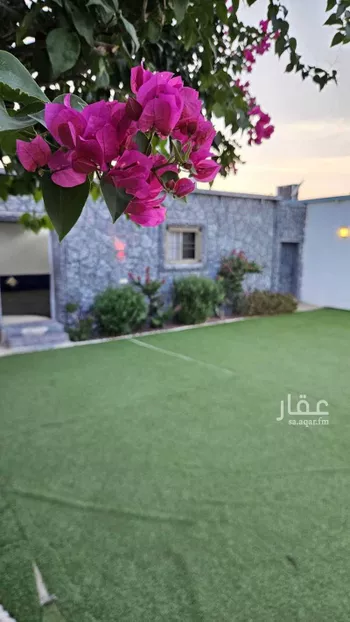 شاليه واستراحة للحجز في شارع صفوان بن وهب بدري ، حي قلعة مخيط ، المدينة المنورة ، منطقة المدينة المنورة صورة 4