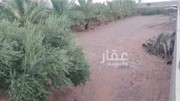مزرعة للبيع في شارع المزيريرات 648 ، التربية ، منطقة حائل صورة 3