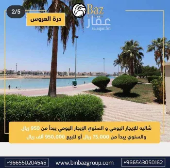 شقة للبيع في شارع طالب بن حبيب ، حي المنار ، جدة ، جدة صورة 4