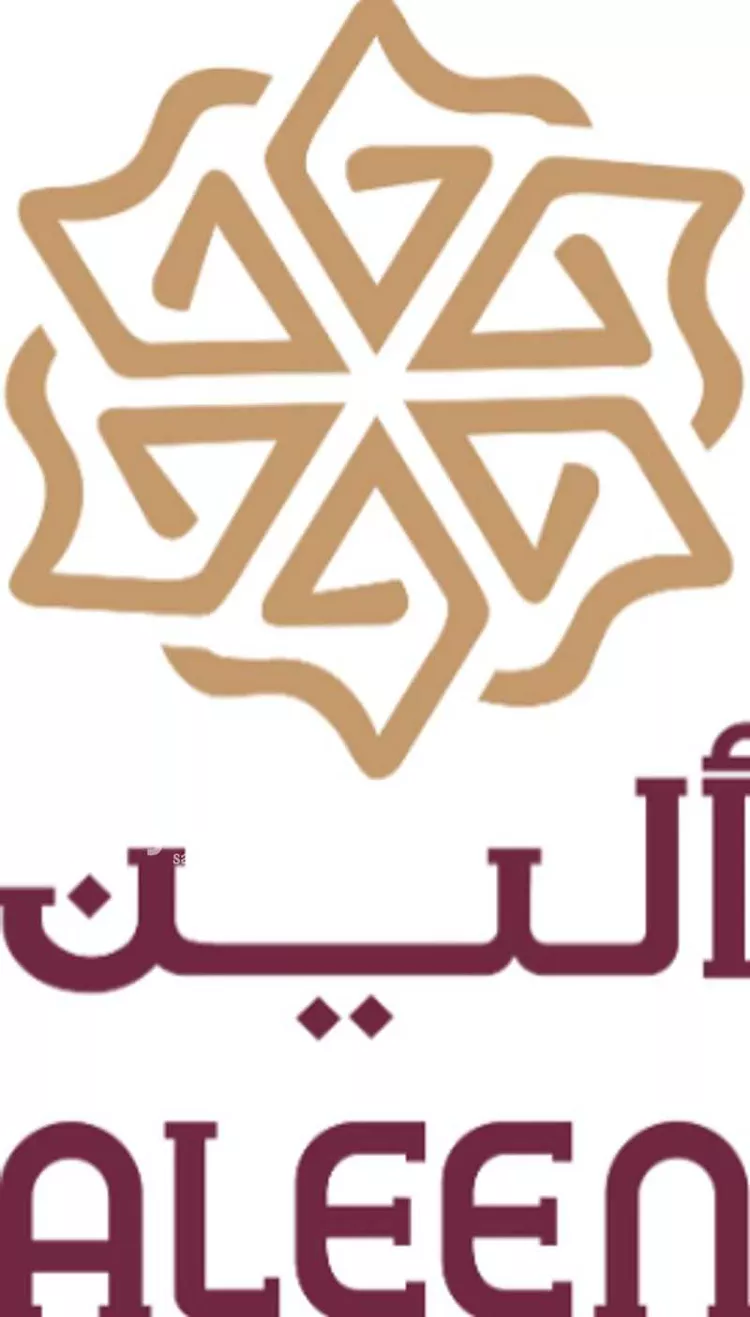 ALEEN - 60
