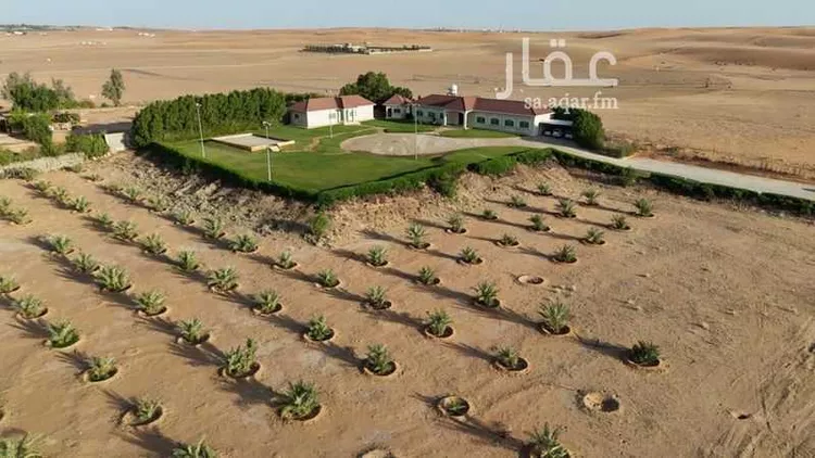 مزرعة للبيع في شارع هجره الذيبيه وخضراء 2600, حي مزارع عبد العزيز بن احمد, مدينة مزارع عبد العزيز بن احمد صورة 4
