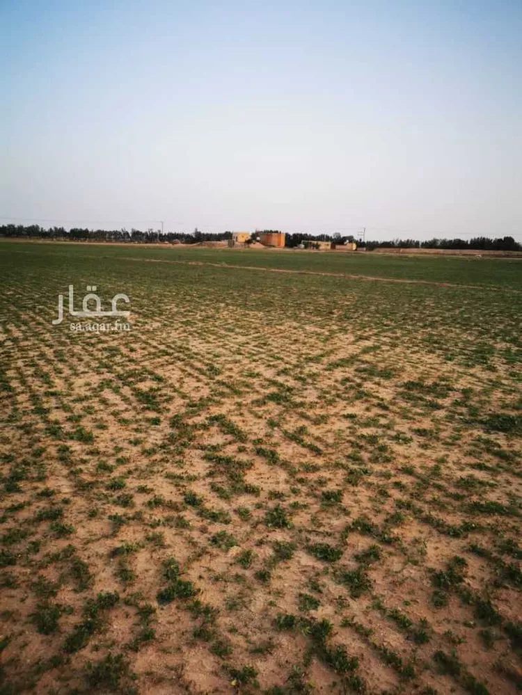 مزرعة للبيع في شارع سراج خراز, حي الجديده, مدينة المزاحمية - الجديده, منطقة الرياض