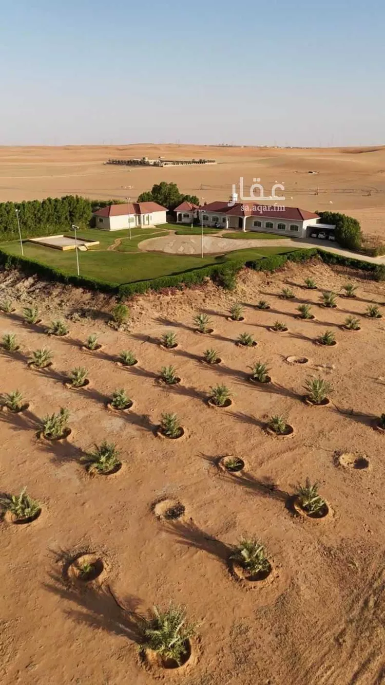 مزرعة للبيع في شارع هجره الذيبيه وخضراء 2600, حي مزارع عبد العزيز بن احمد, مدينة مزارع عبد العزيز بن احمد 6