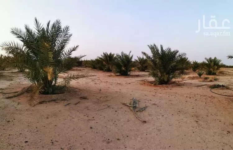 مزرعة للبيع في شارع سراج خراز, حي الجديده, مدينة المزاحمية - الجديده, منطقة الرياض صورة 2