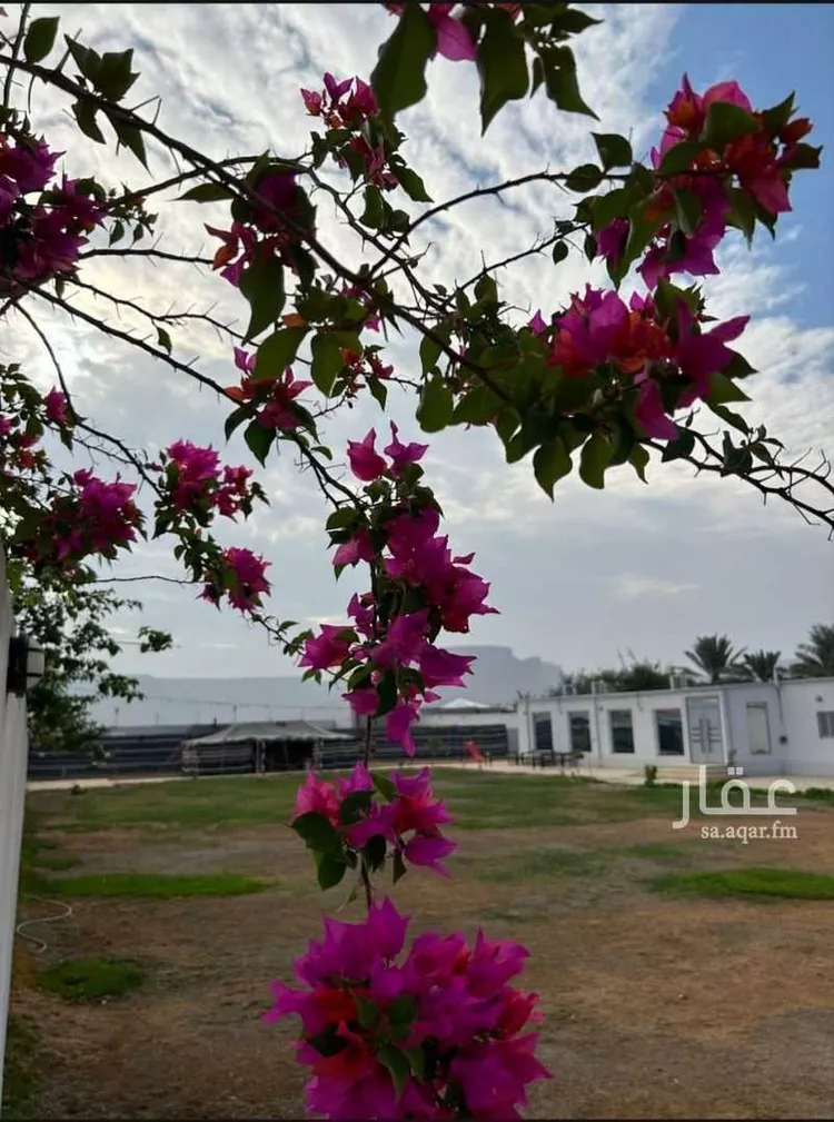 استراحة للإيجار في شارع هجرة الاوسط 840 ، المزاحمية ، المزاحمية